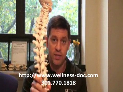 Chiropractor Rockville, MD - Chiropractic for Scoliosis