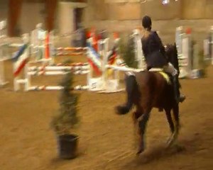 Sirocco à la Fagne St Remacle (2)