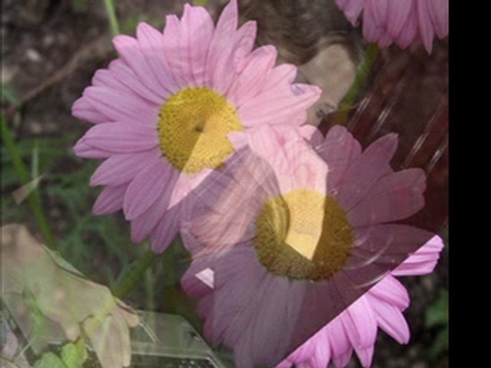 İyki Doğdun İyki Varsın Hala