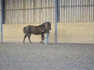 Quiator travaille à pied mars 2011