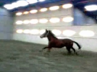 Una saut en liberté
