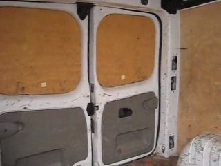 utilitaire opel vivaro