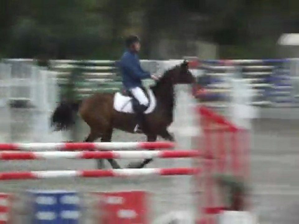 Pastis de Boitleau CSO Vitrolles 110