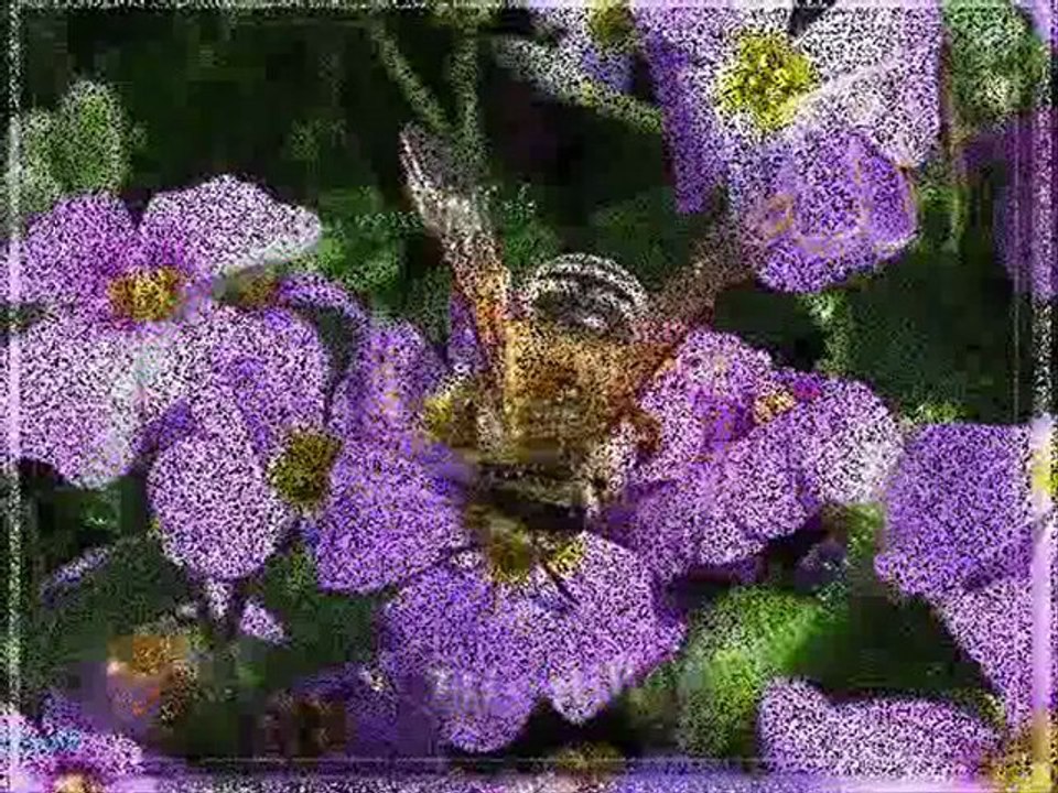 Kutlu Doğum Haftası...