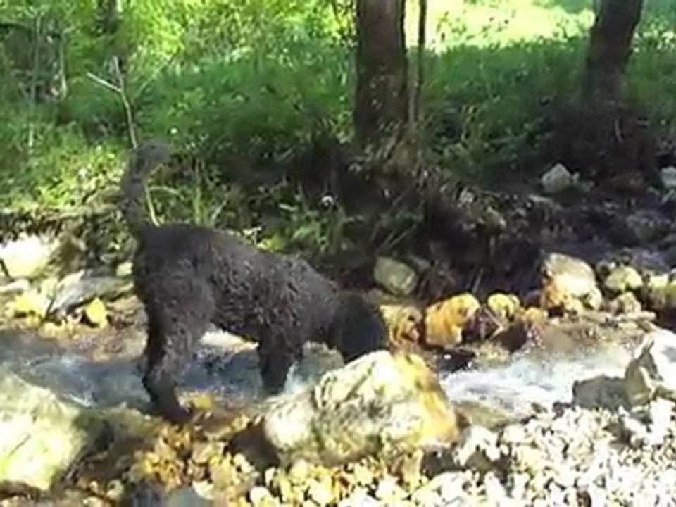 Aragon's 5. Birthday