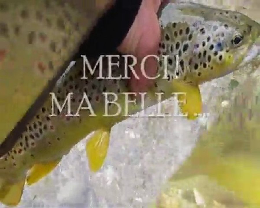 31 MARS 2011