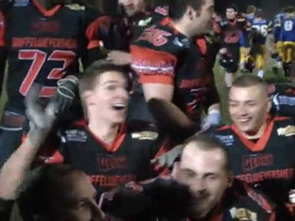 BETISIER VICTOIRE Géant 40 - 00 Lions