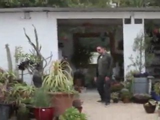 Courteney Cox's Tropical Getaway