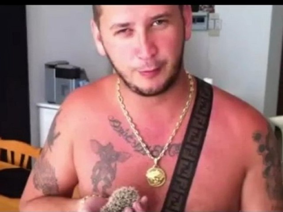 seth gueko shalom salam salut