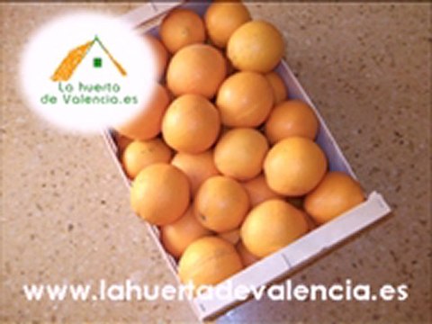 Comienza a comprar naranjas por Internet frescas. Naranjas online