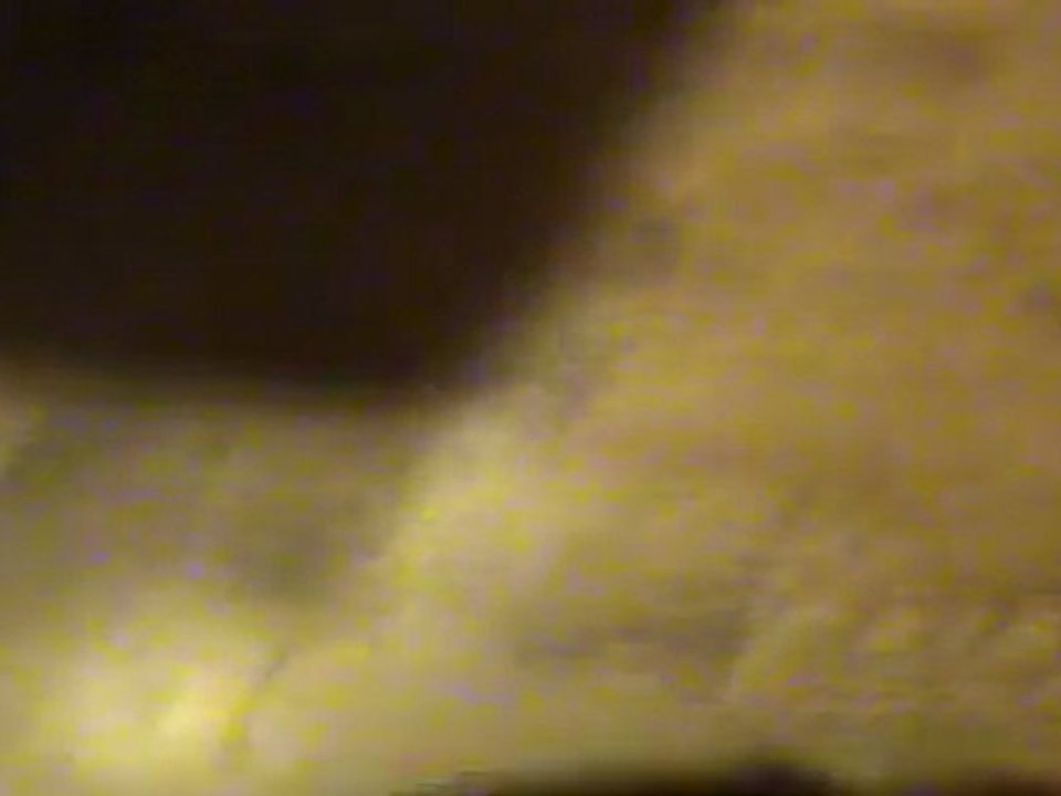 chiot airedale - Gustave 28-03-2011