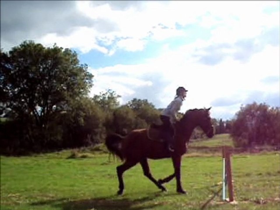 Premier saut Timamour