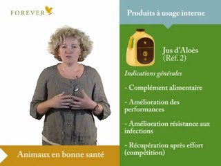 24293797_mp4_h264_aac