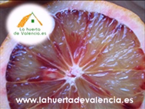 Sanguinelli ¿Te apetece comprar naranjas a domicilio diferentes?