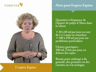 24294607_mp4_h264_aac