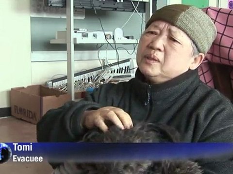 Japón: voluntarios cuidan de mascotas afectadas por tsunami