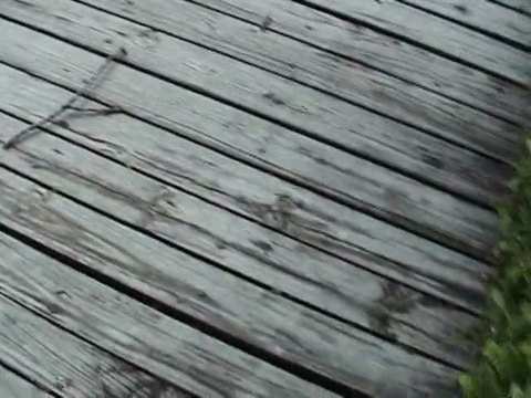 Houston Home Inspector: Loose Deck Boards