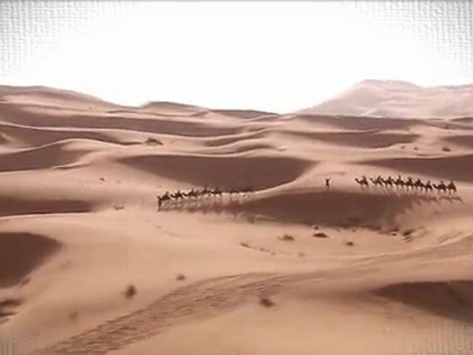 MODULE GAZELLES 05