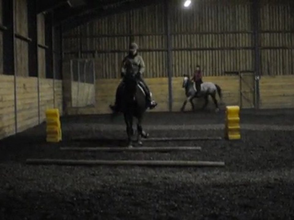 Quiator cours 03/11 barres au sol