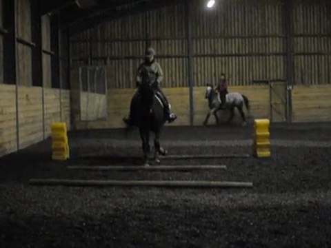 Quiator cours 03/11 barres au sol