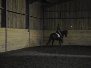 quiator cours saut 03/11