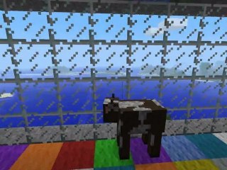 Minecraft : Soirée Disco !