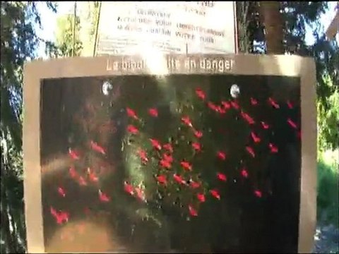 Parcours acrobatique dans les arbres Chamrousse
