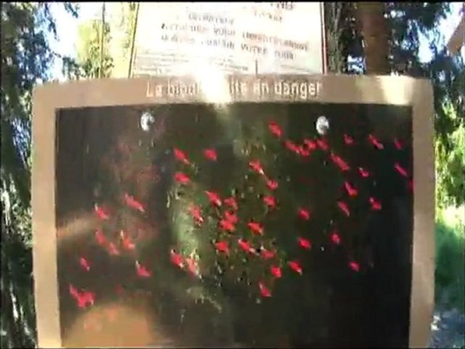 Parcours acrobatique dans les arbres Chamrousse