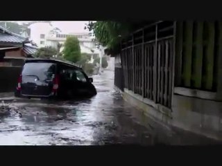 Tsunami japon 11 mars 2011