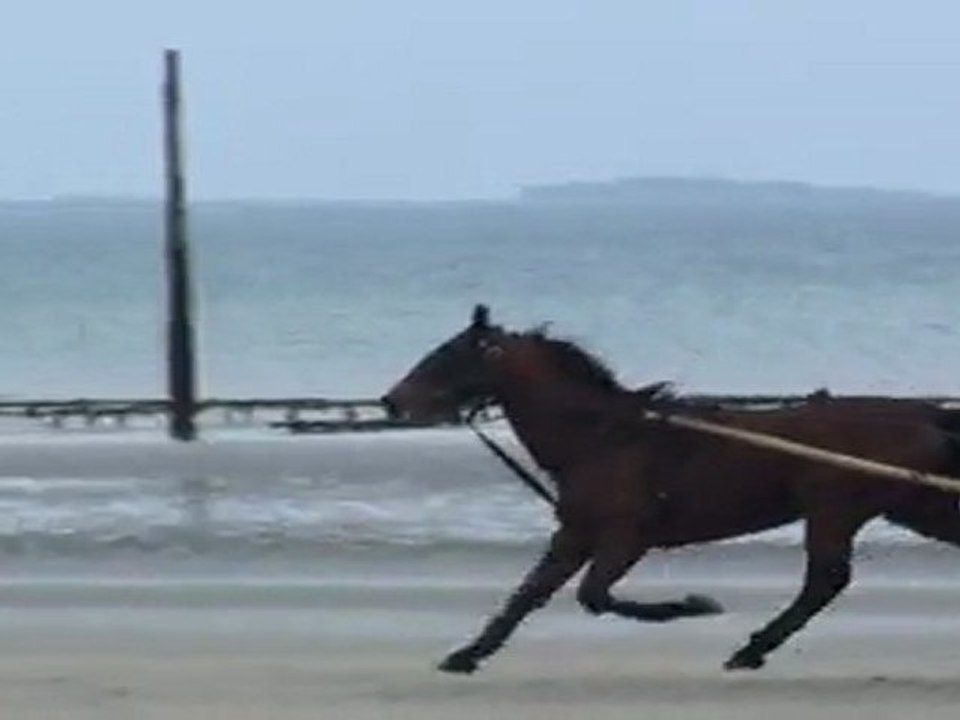PIOMBINO FAISANT DU FOND AVEC F.TERRY