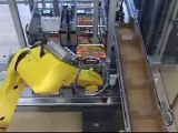 Robot case packing and palletizing 2/2