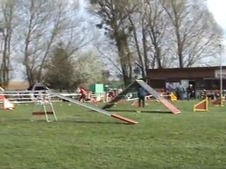 Francaltroff 2011 - Open et Jumping catégorie C