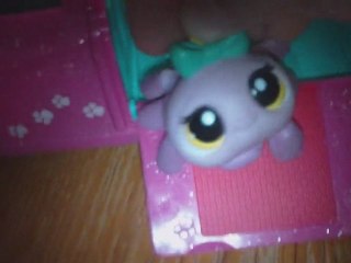 Miss Petshop avril 2011 partie 1