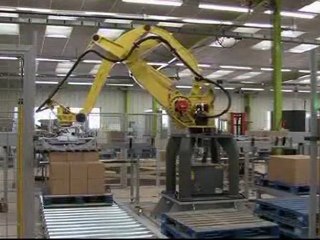 Palletization for cases and shrink-wrapped packs 2/2