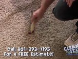 Carpet Cleaners Salt Lake City - Removing Red Stains From Carpet and Rugs