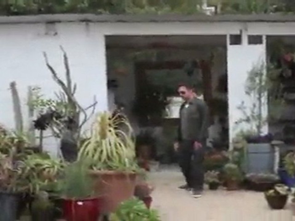 Exklusiv: Cox` tropische Ferien