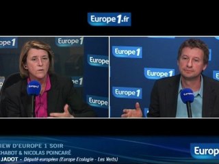 Jadot : Hulot doit "donner sa décision"