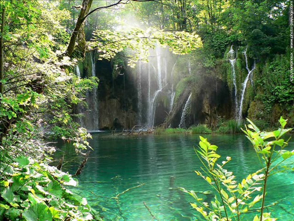 Dua magnifique Hani Rifai part 2