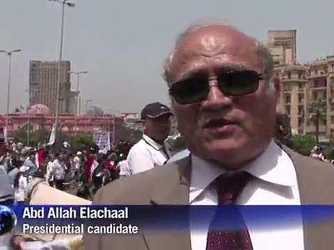 Egyptians rally in Cairo to 'save the revolution'