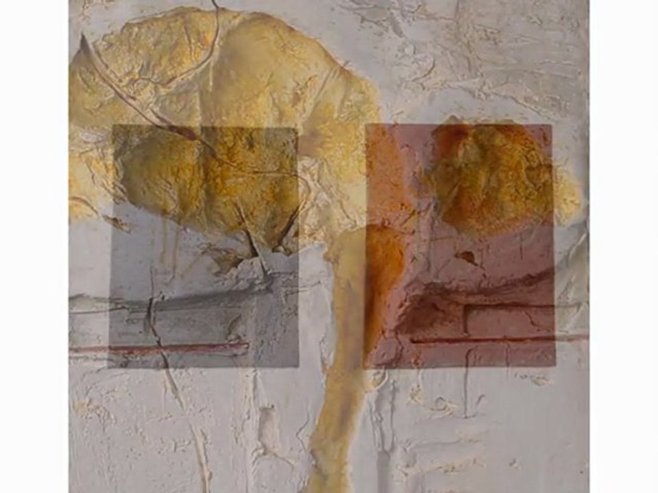 Achao 2009