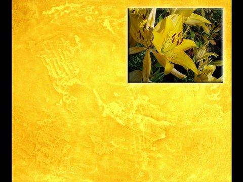 ВЕНЕЦИАНСКАЯ ШТУКАТУРКА авторские курсы ДЕКОРАТИВНАЯ ФРЕСКА Киев studio Artfresco&Decor Мастер классы по Декорированию венецианской штукатурки sites.google.com/site/artfrescodecor/