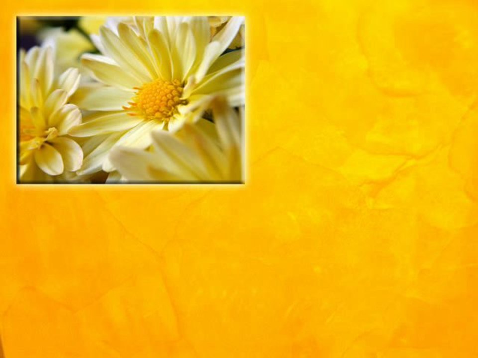 ВЕНЕЦИАНСКАЯ ШТУКАТУРКА авторские курсы ДЕКОРАТИВНАЯ ФРЕСКА  Киев studio Artfresco&Decor Мастер классы по Декорированию венецианской штукатурки    https://sites.google.com/site/artfrescodecor/