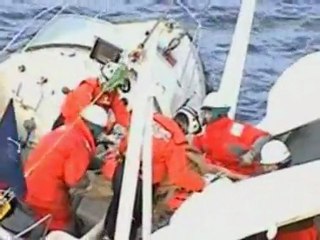 Stranded tsunami dog rescued in Japan