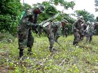 Soldados bolivianos erradican plantación de coca en el Chapare