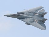 F-14 Tomcat Tribute
