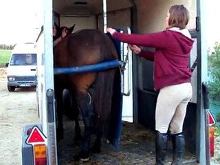 TANGO monte dans le van le 1er avril 2011