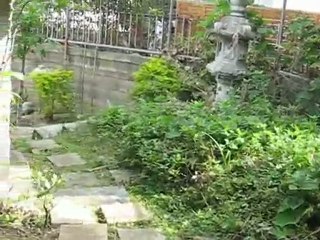 Canon, Monet and the Raja Puris