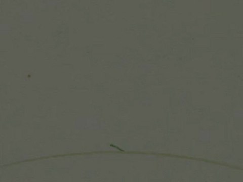 Idées de menu de Pâques et recettes pour le repas de fête