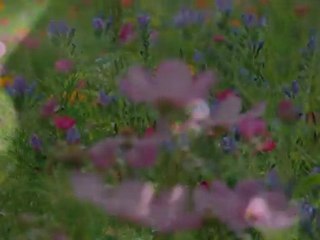 Robert Lauri - Claire