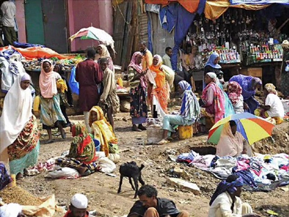 GENEL RESİMLER 2011 MART-5-İRFAN VURAL